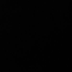 Meet your Posher, Shaelin